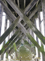 Under the Pier, Gustavus, Alaska